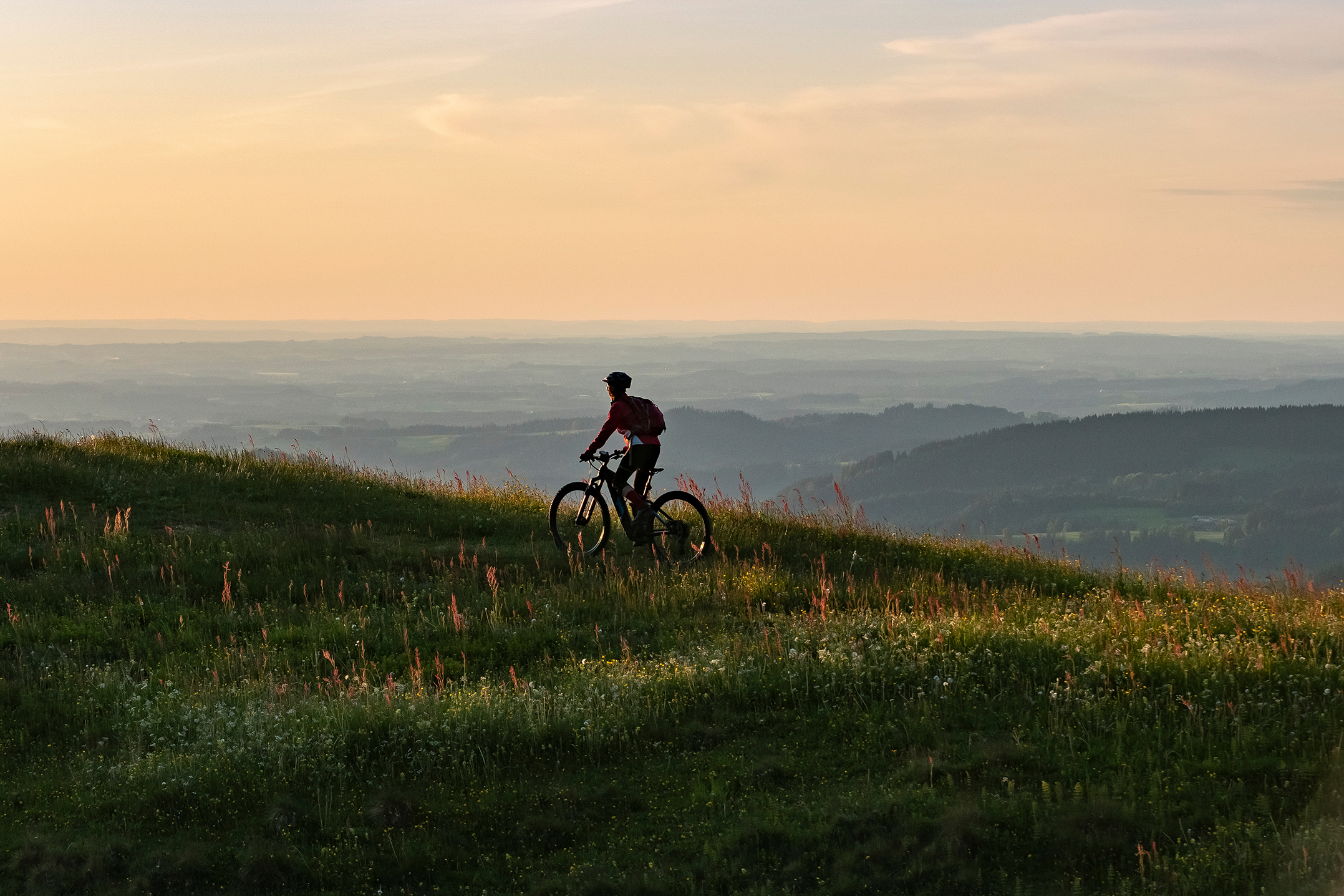 ktm cross e-bikes